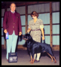 Cooper at the Holland Michigan K.C. taking Winners Dog on October 17th, 1998, handled by Ms. Holley Eldred