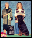 Cooper's new AKC Companion Dog (CD) title achieved at Grand Rapids K.C. in Kalamazoo, Michigan from the Novice B class, owner-handled by Pat Baker