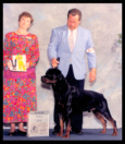 Cooper at the 1997 Colonial Rottweiler Club (CRC) in the Open dog class taking a 3rd place, handled by Mr. Rodger Freeman, under Breeder-Judge Ms. Karen Riddle of Von Riddle Rottweilers