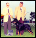 Cooper at the Cudahy K.C. taking Winners Dog & Best of Opposite Sex on August 9th, 1997 handled by Mr. Rodger Freeman