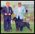 Cooper at the Greater Racine K.C. taking Winners Dog on Aug. 10th, 1997, handled by Mr. Rodger Freeman, under Judge Mr. William Paul Shelton