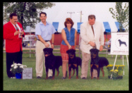 Cooper shown at the St. Croix Valley Combined Specialties in MN. He is 2000 North Star Rottweiler Club Specialty Stud Dog Winner with his two sons "Kody" & "Jr", handlers: Mr. Perry Pason, Ms. Holley Eldred, & Mr. Rodger Freeman, under Breeder-Judge Mr. Josef Hedl