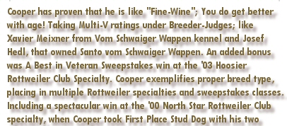 Cooper has proven that he is like "Fine-Wine"; You do get better with age! Taking Multi-V ratings under Breeder-Judges; like Xavier Meixner from Vom Schwaiger Wappen kennel and Josef Hedl, that owned Santo vom Schwaiger Wappen. An added bonus was A Best in Veteran Sweepstakes win at the 2003 Hoosier Rottweiler Club Specialty Show. Cooper exemplifies proper breed type, placing in multiple Rottweiler specialties and sweepstakes classes. Including a spectacular win at the 2000 North Star Rottweiler Club Specialty, when Cooper took First Place Stud Dog with his two