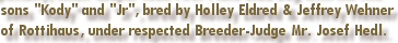 sons "Kody" and "Jr" bred by Holley Eldred & Jeffrey Wehner of Rottihaus Rottweilers, under respected Breeder-Judge Mr. Josef Hedl.
