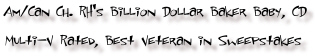 American & Canadian Champion RH's Billion Dollar Baker Baby, CD, Multiple V Ratings, 2003 Hoosier Rottweiler Club's Best Veteran in Sweepstakes Winner, & 2000 North Star Rottweiler Club's Stud Dog Winner