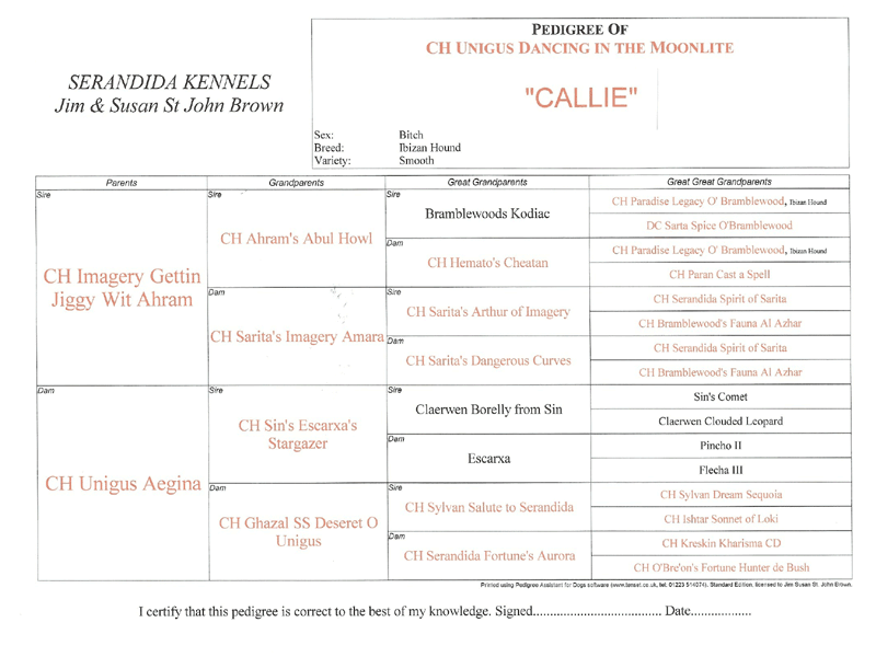 Dam: Ch. Unigus Dancing In The Moolight - "Callie"