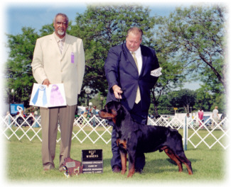 Von Baker's Money Talks, major ptd., BOB, BPIB, PGroup, ARC Spec. BOW/WD/RWD