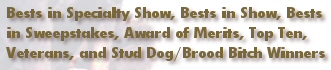 Bests in Specialty Show, Bests in Show, Bests in Sweepstakes, Award of Merits, Top Ten, Veterans, and Stud Dog / Brood Bitch Winners
