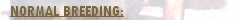 NORMAL BREEDING: