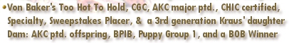Champion Von Baker's Too Hot To Hold, CGC, CKC ptd., CHIC# certified, Specialty & Sweepstakes placer - Dam of AKC ptd. Best of Breed, Multi-RWD & WD major Specialty Winners, Best Puppy in Breed, & Puppy Group Winners