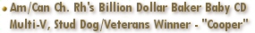 Am/Can Ch. Rh's Billion Dollar Baker Baby CD, Multi-V rated, Stud Dog & Veterans Sweepstakes Winner - "Cooper"