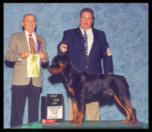 Grimm at Livingston K.C. on Jan. 22, 2000, taking a Third in Puppy Group, handled by Mr. Rodger Freeman