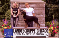 "Gotham" at Landesgruppe Chicago German-style show '04, taking VP-1, from 4-6 month class, handled by Holley Eldred