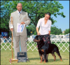 "Gotham" taking BOW/WD at the Combined Specialties of Greater Milwaukee '06, handled by Lynette Lomason