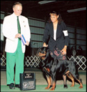 "Gotham" taking BOW/WD at Livonia KC '06, handled by Lynette Lomason