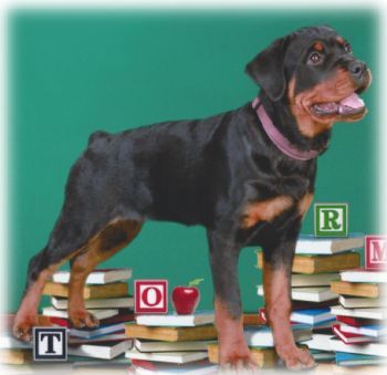 VonBaker’s Teacher’s Pet
