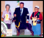 Turner at the 2000 MRC specialty taking a 3rd place from the 9-12 month puppy class, handled by Mr. Rodger Freeman, under Breeder-Judge Mrs. Michelle Billings