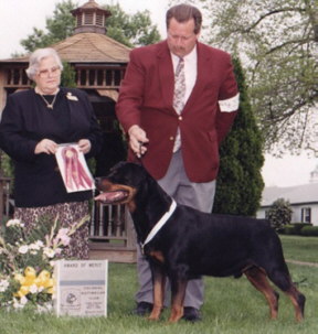 Ditto taking an award of merit at the CRC 98'