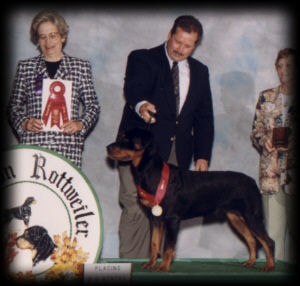 Judge winning 2nd place 6-9mos puppy dogs at the MRC 96'
