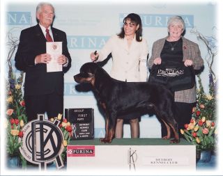 Ch. VonBaker's Quiet Riot v Worthy