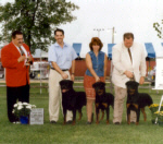Von Baker Rottweilers - Northstar Rottweiler Club Specialty - Stud Dog Winner